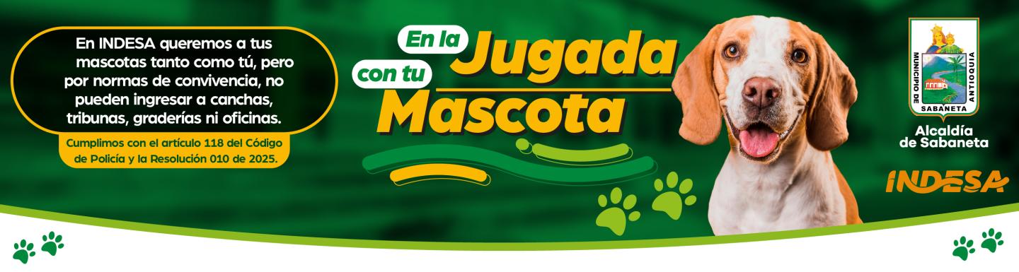 en la jugada con tu mascota - foto 1